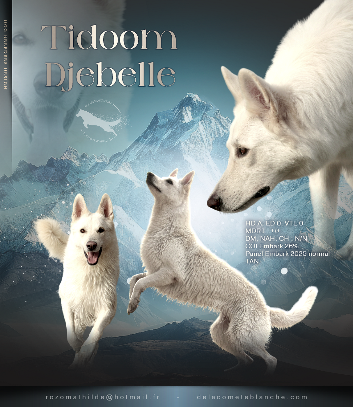 TiDoom Djebelle (Sans Affixe)